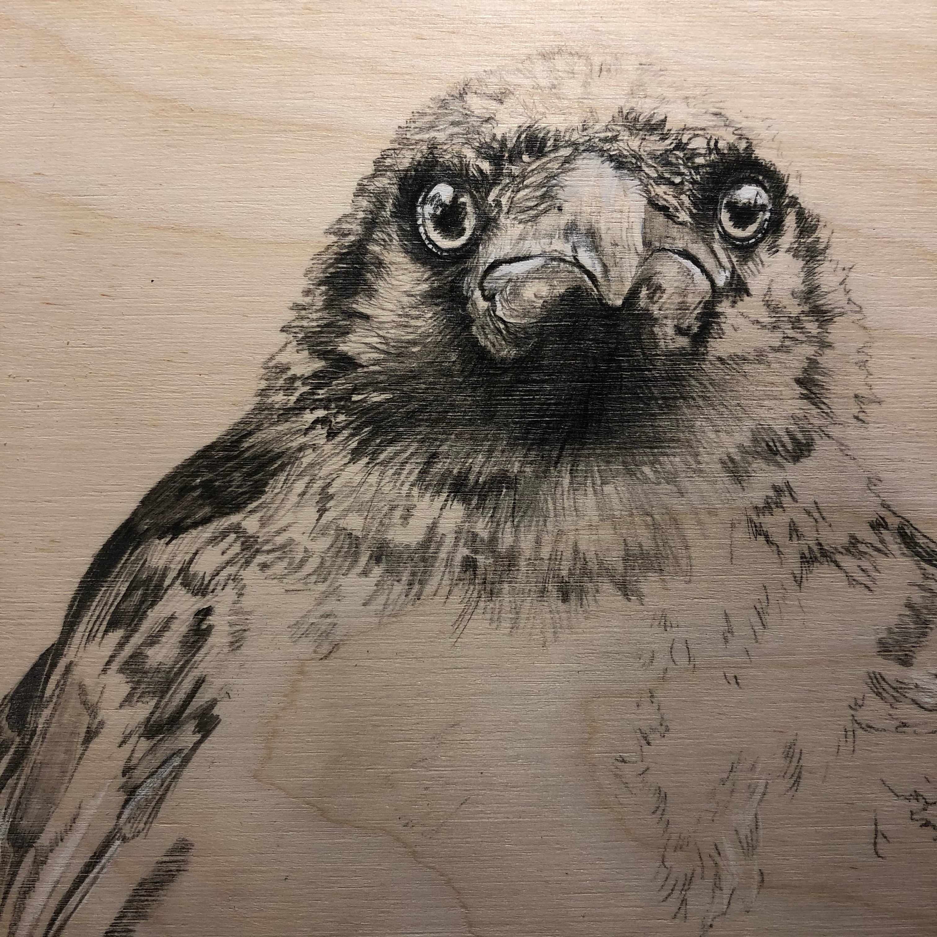 Original Drawings on Wood