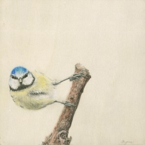 Jacqueline Byrne Art – Visual Artist