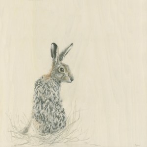 Jacqueline Byrne Art – Visual Artist