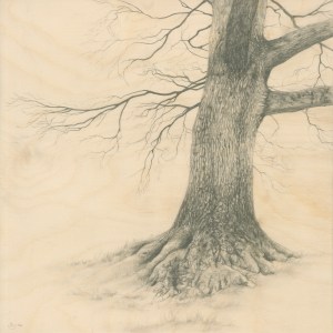 Jacqueline Byrne Art – Visual Artist